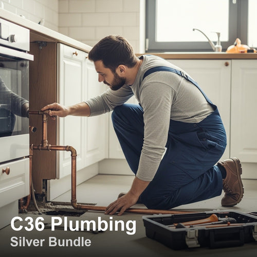 C-36 Silver Bundle