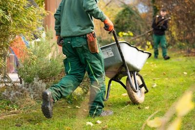 CSLB Landscaping (C-27) License: Practice Examination